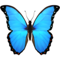 blue butterfly emoji